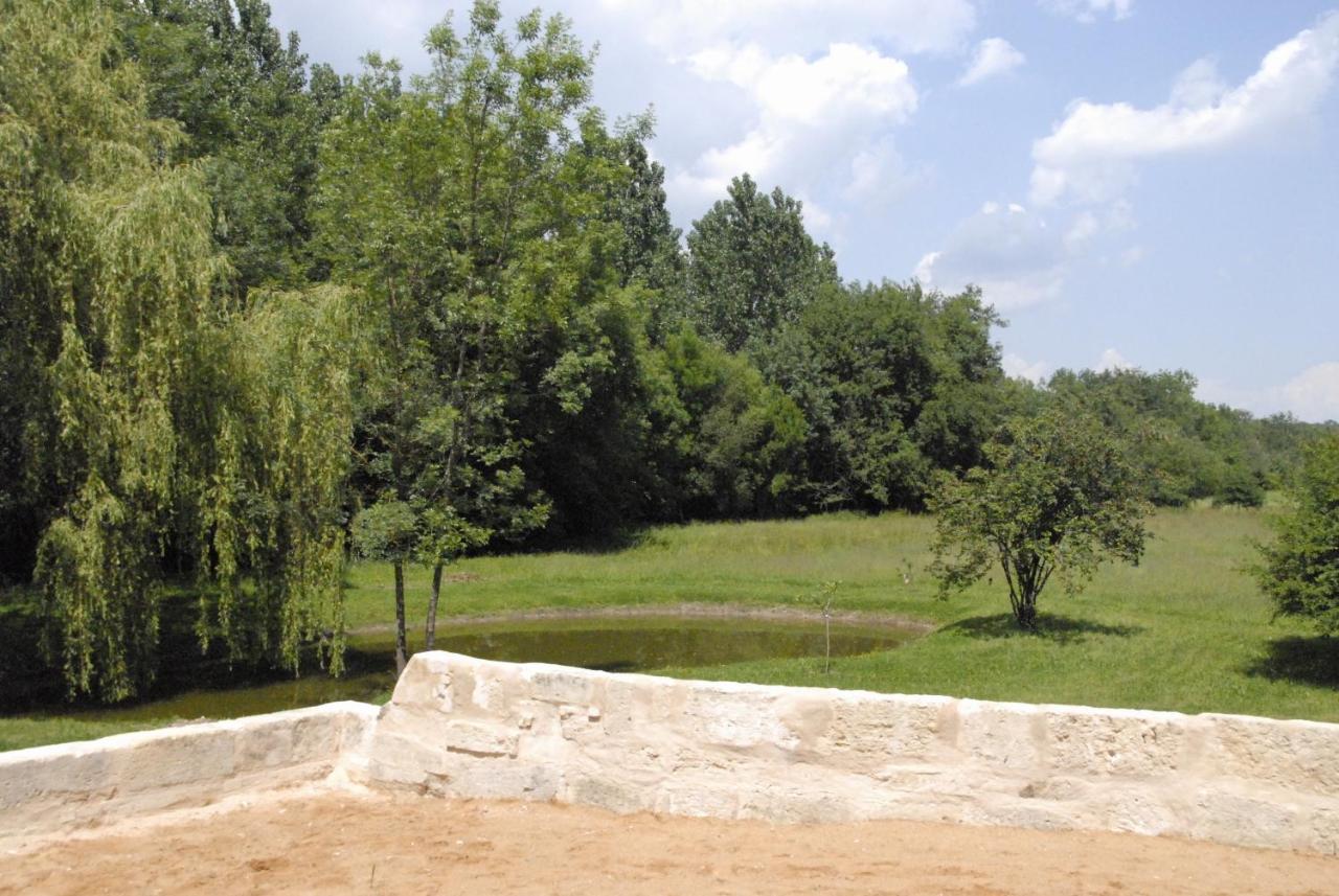 Les Chambres D'Ausilia Sablons  Luaran gambar